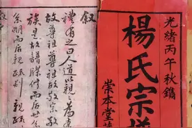 杨家人必看！杨氏家谱总谱（2021最新更新）图片