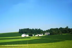 为什么美国大部分人喜欢住在郊区和农村？图片