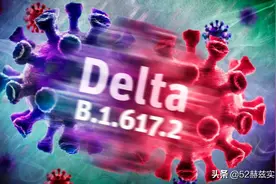 14秒就能人传人？传染性极强的德尔塔病毒到底是什么？图片