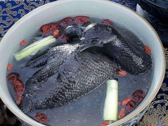 外国人怎么没有鸡皮肤