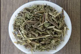牛至的功效与注意事项图片