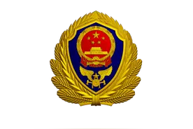 张家界消防员的消防小哥哥用舞蹈向党表白图片