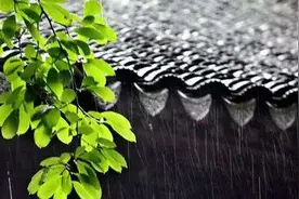 贵州进入“梅雨期”？听听气象专家怎么说图片