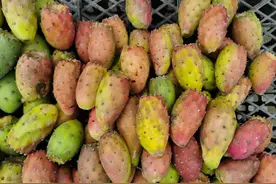 鬼哥的五万里D68 西藏本纪一(康定市-泸定县新沟村)图片