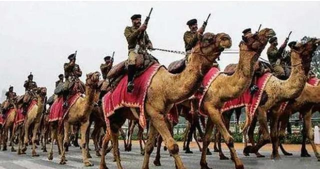 骆驼背上的枪炮，现实版的合金弹头