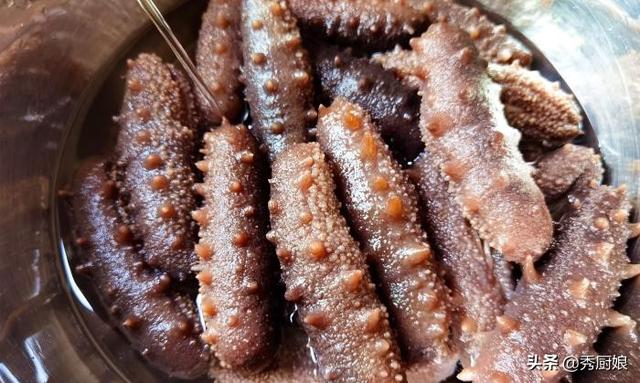 正确泡发海参的5个步骤 2025年正确泡发海参的5个步骤视频讲解