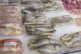 才发现“这4种鱼”都是深海鱼，超市看见别手软，一次买10斤图片