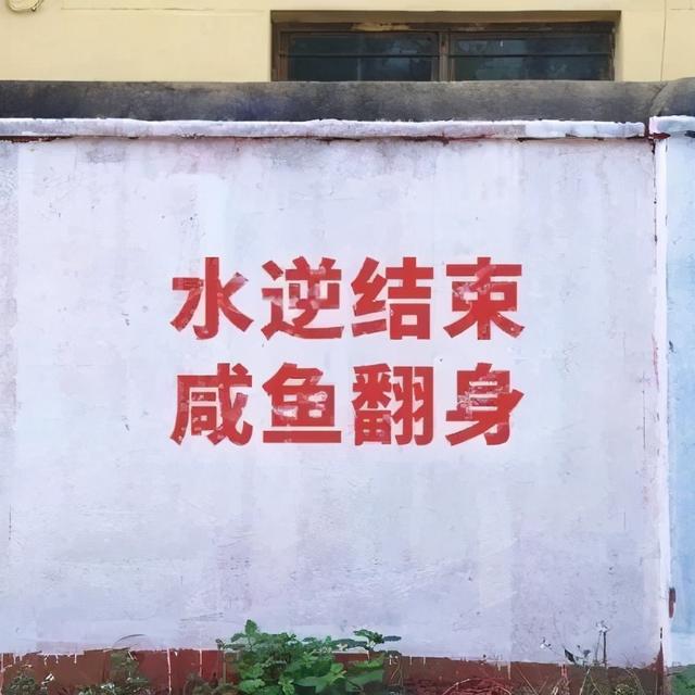 朋友圈背景图 | 个性、沙雕、励志文字控
