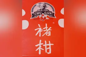 《褚时健》传记读后感：全心全意做事图片