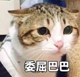ҵĹҪѣҲҪ˿ô