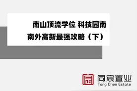 南山顶流学位 科技园南｜南外高新最强攻略（下）图片
