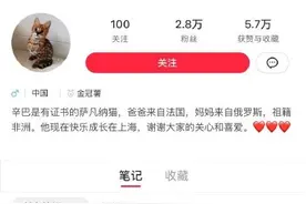 男子花5万买了一只猫，网上炫耀被刑拘图片