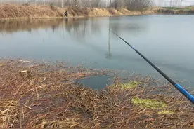 走位精准迷离，逗法销魂高效，详解大鱼的集大成钓法：走逗钓图片