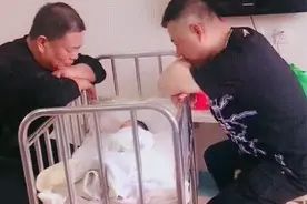 刚出生的“独苗”，爷爷和外公凝视半小时，网友：还以为是照片图片