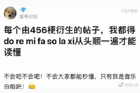 “456”是什么？衍生出来的乐理谐音梗，看一遍都反应不过来是啥图片