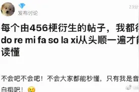 “456”是什么？衍生出来的乐理谐音梗，看一遍都反应不过来是啥图片