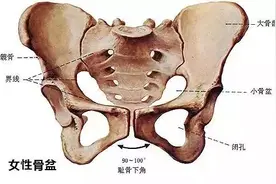 产后，女人为何要做骨盆修复？图片