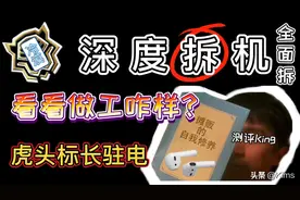 「深度拆机」华强北airpods虎头标负一屏长显最全面的拆解报告图片
