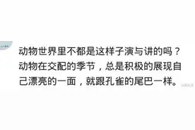 长得帅的男生有哪些优势？网友：找媳妇都可以不花钱图片