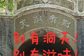 保定市动物园猴山的石头有什么故事？还有那“别有洞天”！图片