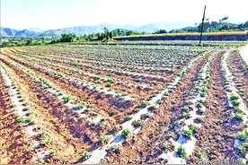 山村4个大娘合唱“一台戏”“剧情”夸夸好媳妇，看看心里真舒服图片