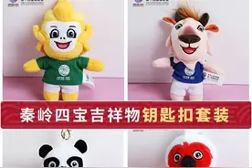 获6.4亿元市场开发收入！陕西全运会向中小企业降门槛图片