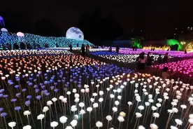 网红国际光影艺术节图片