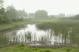 大云山汉墓发掘记：水塘下惊现大墓，竟是曹操摸金校尉的“遗作”图片