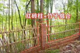 有院子，在农村不花钱、就地取材用红砖柱+竹子，做一圈漂亮围栏图片