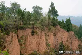 农村7旬大叔住野外“密室修行”10多年，看生活成啥样图片
