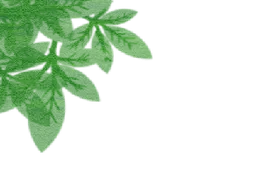 【植树节】：拥抱春天，播种绿色图片
