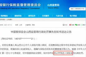 卖保险靠“返佣”走上人生巅峰？返完就失业图片