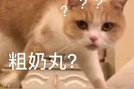 「表情包」在吗姐妹？出来玩图片