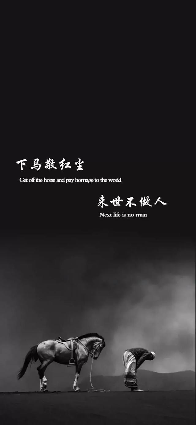 情感文字壁纸/下马敬红尘，来世不做人