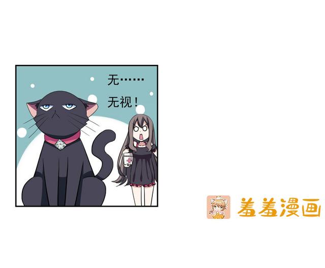 夜路走多了，竟捡到宝，带着巨钻的小黑猫一只