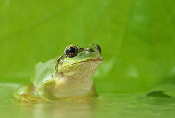 高中生物学习经验分享