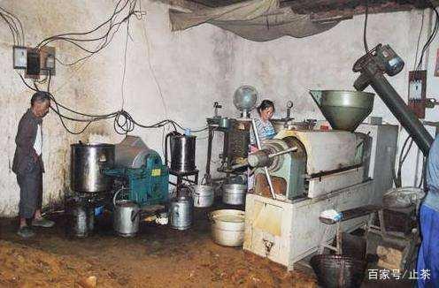 棉籽油到底能不能吃（为什么人们都不喜欢吃棉籽油）