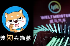 掉队的威马危矣？图片