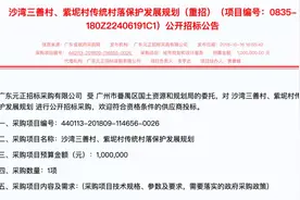 「旧村改造」番禺“十年改造规划”各村汇总（下）图片
