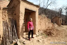 河南老人家养大白鹅当保镖，看家护院管全村安全，千元不卖图片