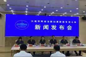 大连两级法院审结黑恶势力犯罪案件49件436人图片
