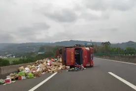 视频|小货车高速路上与大货车并行 结果悲剧了图片
