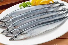 日本人爱吃的秋刀鱼，营养高还便宜，却在中国没市场，这是为啥？图片