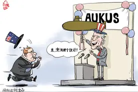 「国际漫评」“澳洲那个伙计”图片