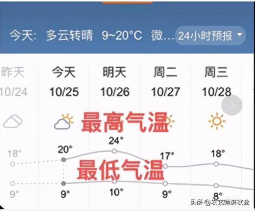 2025年10月17日 第61页