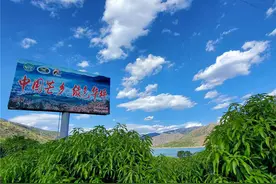 「共舞长江经济带·看高质量发展」云南华坪：去“黑”增“绿”，西南边陲山区县迈入黄金时代图片