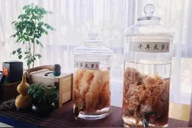 别在太岁头上动土图片