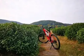 深一度 | 被誉为最美骑行路线的杭州“秋名山道”，为何屡屡“伤人”？图片