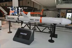 跨越式进步，中东油霸阿联酋展示首款国产反舰导弹，瞄准低端市场图片