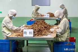 豫菜离不开的“十三香”：香料不止13种，假货成本比真品售价还高图片